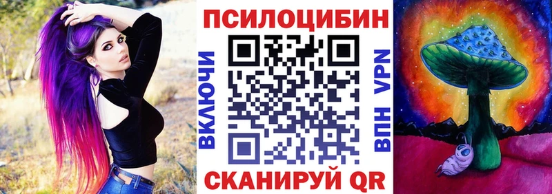 Галлюциногенные грибы Cubensis блэк спрут зеркало Камбарка