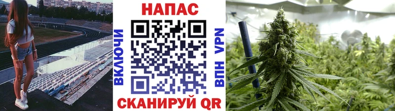 даркнет формула  Камбарка  Бошки марихуана White Widow 